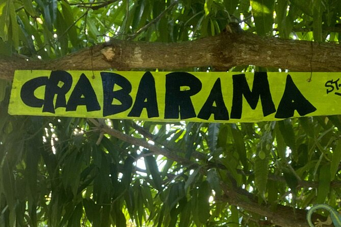 A Morning Cultural Experience Through Food Cooking Class St. Croix - Local music, dancing, and island drinks