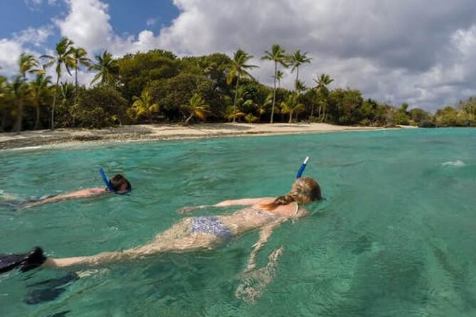 Admission Ticket to Coral World & Coki Point Beach with Snorkeling - Coki Point Beach: clear water and easy snorkeling