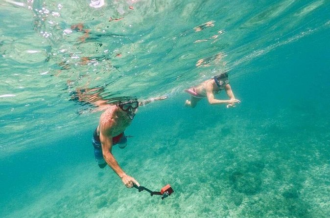 Admission Ticket to Coral World & Coki Point Beach with Snorkeling - Transportation can decide the whole experience