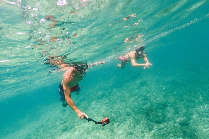Admission Ticket to Coral World & Coki Point Beach with Snorkeling - Coral World Ocean Park and its five-acre visit