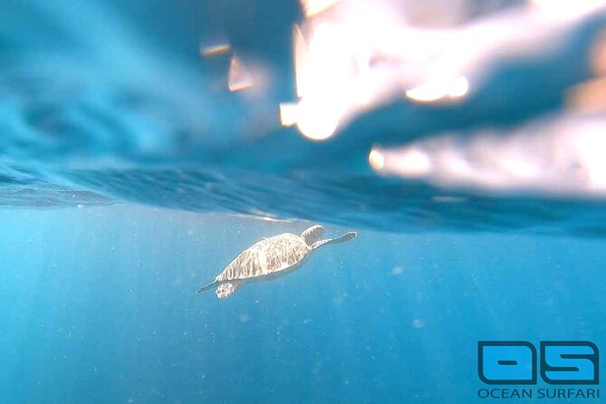 Afternoon Snorkel, Pizza & Sunset Tour departing from St. Thomas & St. John - Why this tour works as an island sampler