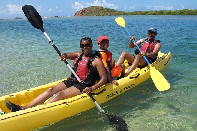 Best of Mangrove Lagoon Kayak, Hike and Snorkel Adventure with Picnic Lunch - Key points to know before you book