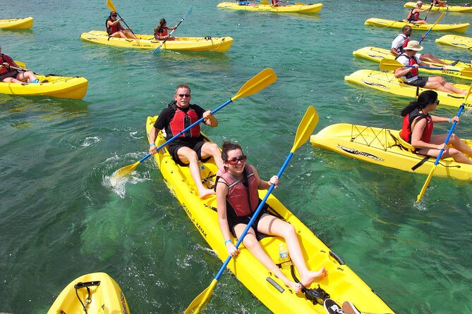 Best of Mangrove Lagoon Kayak, Hike and Snorkel Adventure with Picnic Lunch - Why this St. Thomas eco tour is worth your time