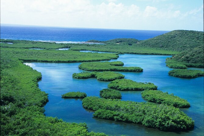 Best of Mangrove Lagoon Kayak, Hike and Snorkel Adventure with Picnic Lunch - Lunch and the practical side of five hours