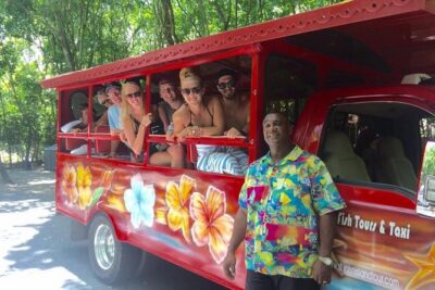 Book Your Private Two and a Half Hour Island Tour today!