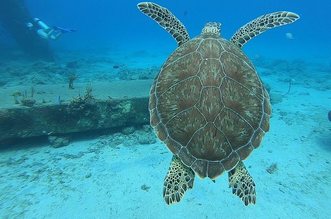 Brewers Bay Beach and Snorkel Adventure - Is $65 a fair price?