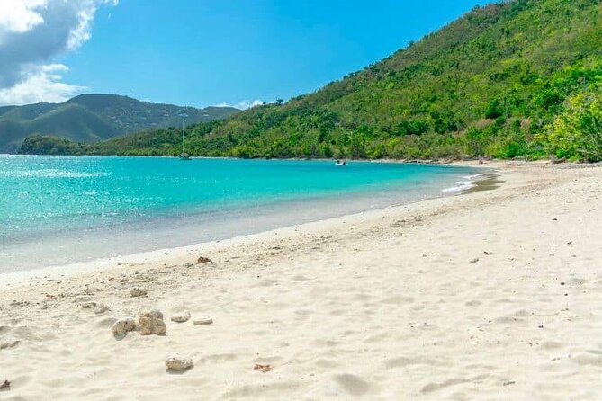 Brewers Bay Beach and Snorkel Adventure - Snorkeling in search of turtles and stingrays