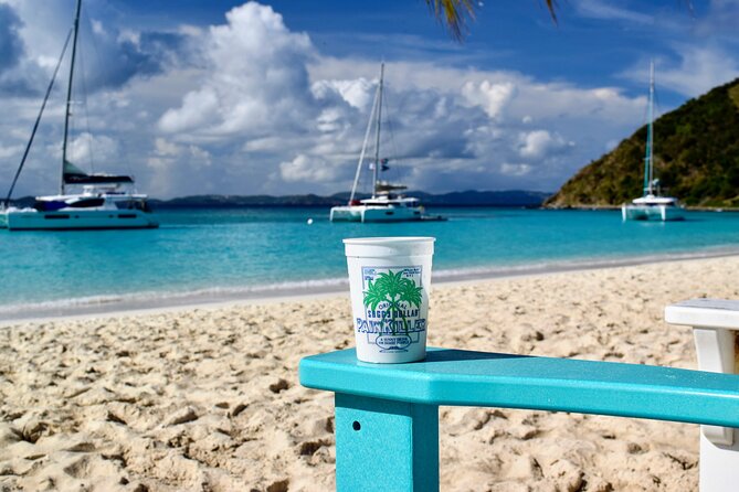 BVI Private Charter to Jost Van Dyke on 32' Power Catamaran - Key points at a glance