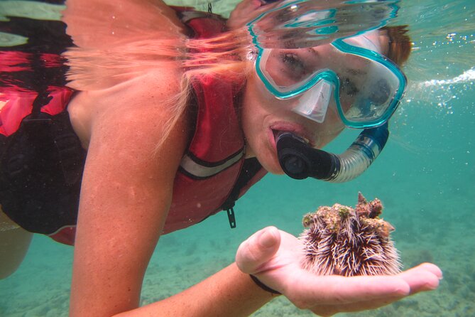 Cas Cay - Kayak Hike and Snorkel Adventure - Guides make the difference