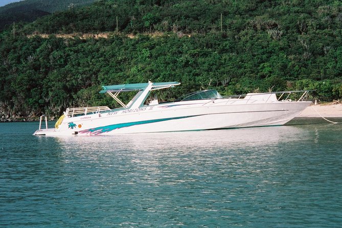 Cocktail Sunset Cruise from Sapphire Beach Resort - Best for couples, celebrations, and easy evenings