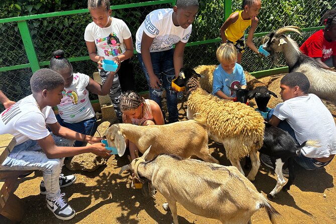 Connors Farms Petting Zoo - A Farm Visit With an Island View