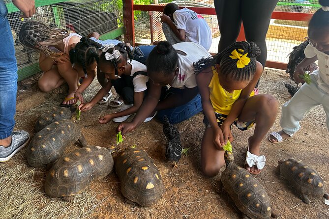 Connors Farms Petting Zoo - Why the Private Format Helps Families