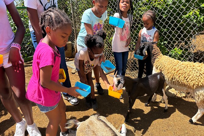 Connors Farms Petting Zoo - The Meeting Point Requires Extra Care