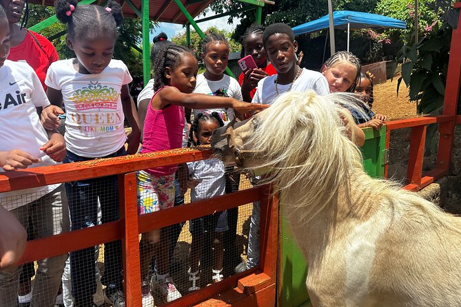 Connors Farms Petting Zoo - What the Two-and-a-Half-Hour Visit Feels Like
