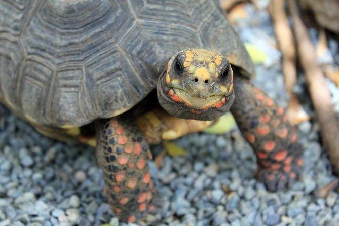 Coral World Ocean Park General Admission Ticket - How long should you plan to stay?