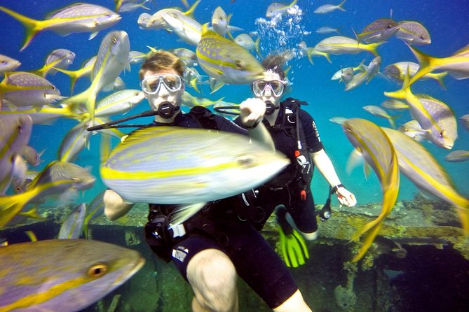 Discover Scuba Diving with No Certification in St Thomas - Starting at Saga Haven Marina