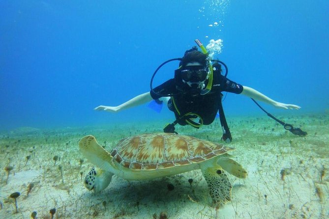 Discover Scuba Diving with No Certification in St Thomas - Your First Open-Ocean Descent