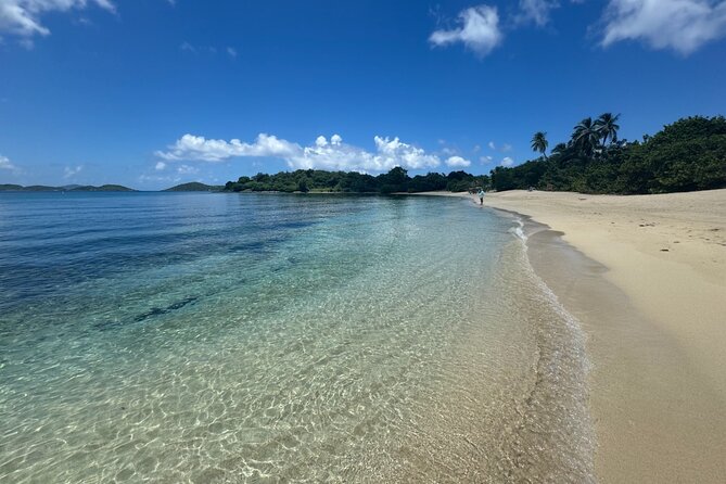 Explore St. John, Beaches and National Park Private Tour - Two Hours Through Virgin Islands National Park
