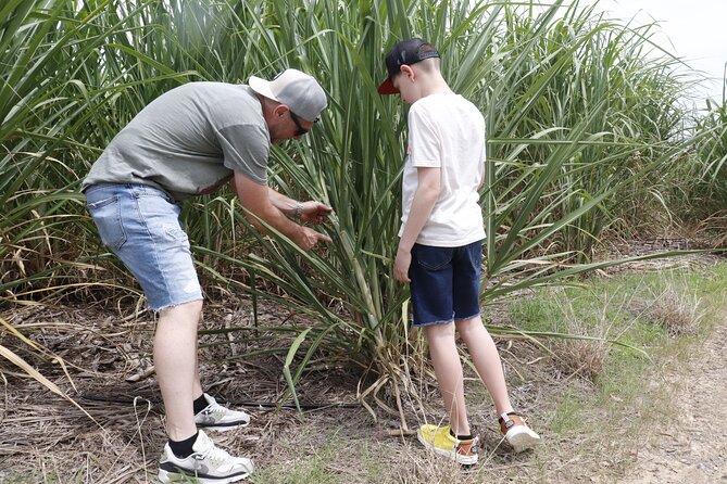 Farm to Bottle Tour at Prosperity Farm Distillery - Practical planning for your St. Croix day