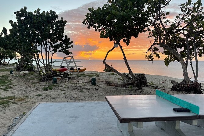 Frederiksted Moke Tour - Making Sense of The Fred’s Value