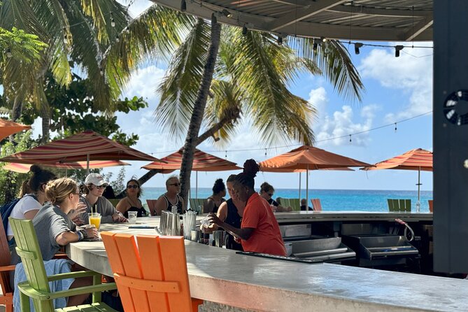 Frederiksted Moke Tour - Is This a Good Cruise Excursion?