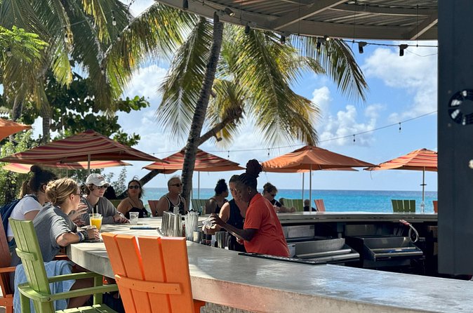 Frederiksted Moke Tour - Who Will Enjoy This Experience Most?