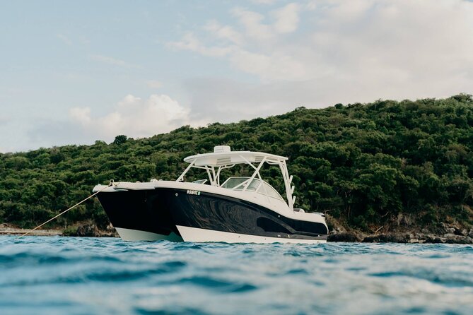 Full-Day Private Boat Charter from St. John or St. Thomas - Leaving from St. Thomas or St. John at 9 a.m.
