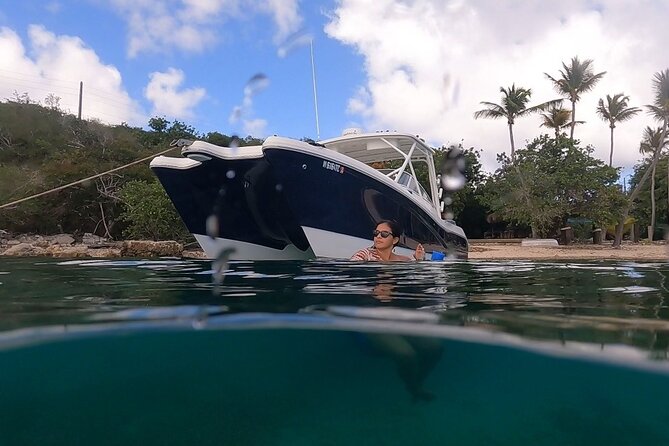 Full-Day Private Boat Charter from St. John or St. Thomas - Hurricane Hole: still water among St. John’s mangroves