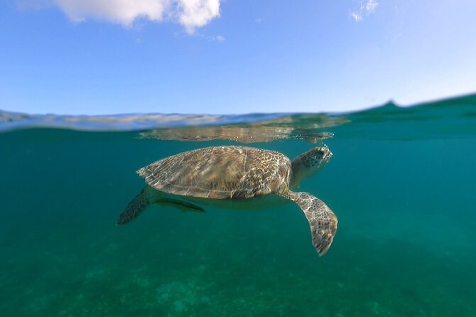 Full-Day Private Boat Charter from St. John or St. Thomas - Christmas Cove and Pizza Pi for a second floating meal