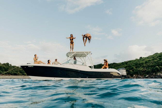 Full-Day Private Boat Charter from St. John or St. Thomas - Waterlemon Cay and the value of a private snorkeling route