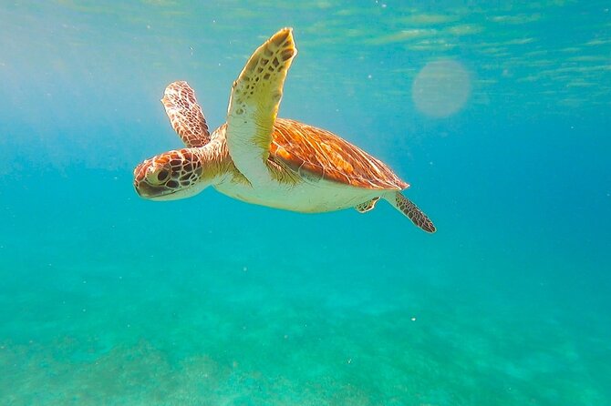 Full-Day Sailing Tour in Virgin Islands National Park - What the crew adds to the day