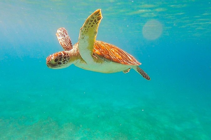 Full-Day Sailing Tour in Virgin Islands National Park - Is $285 a fair price?