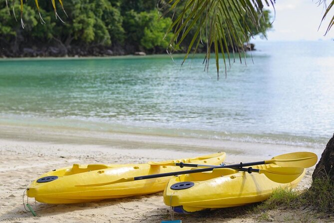 Guided Kayak Tour from Elysian - Key Points at a Glance