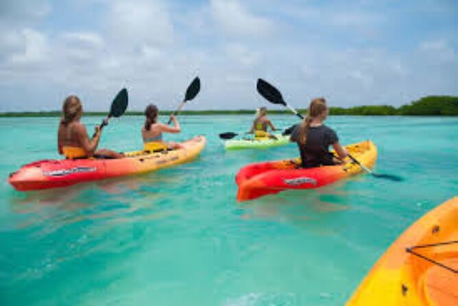 Guided Kayak Tour from Margaritaville - Key points to know before paddling out