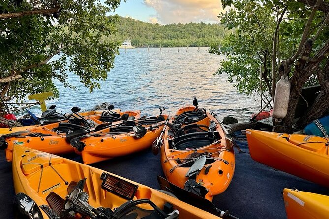Guided Kayak Tour of Salt River Bay Ecology and History - Key things to know before you book