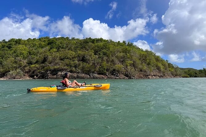 Guided Kayak Tour of Salt River Bay Ecology and History - Why Salt River Bay makes a fine kayak setting