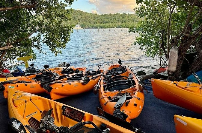 Guided Kayak Tour of Salt River Bay Ecology and History - Columbus Landing Site and the Taino past