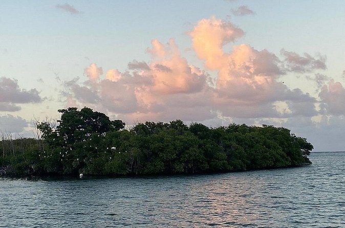 Guided Kayak Tour of Salt River Bay Ecology and History - Who should book this tour