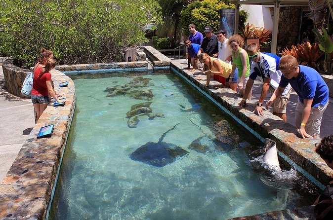 Guided Tour of Coral World Ocean Park & Happy Hour - Free time to explore at your own pace