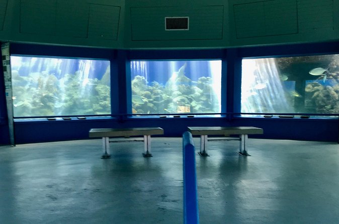Guided Tour of Coral World Ocean Park & Happy Hour - What the happy hour really includes