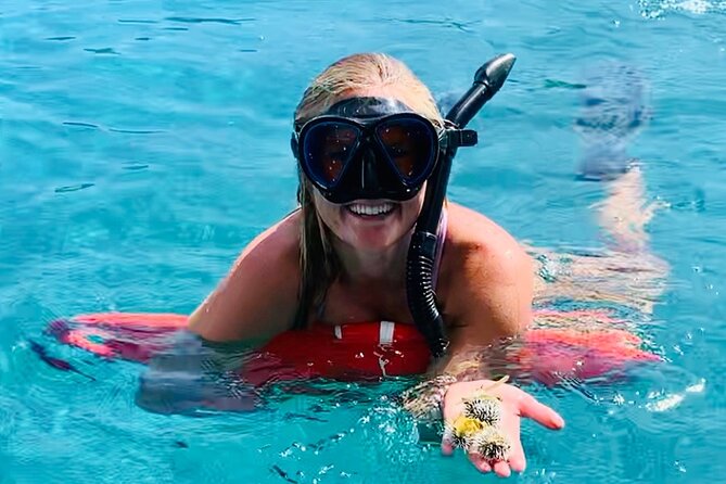 Half Day Luxury Catamaran Turtle Snorkel And Beach - Key points at a glance