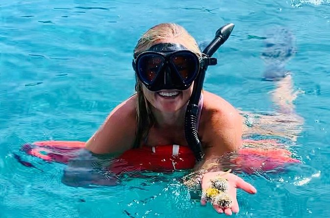Half Day Luxury Catamaran Turtle Snorkel And Beach - Booking, weather, and cancellation details