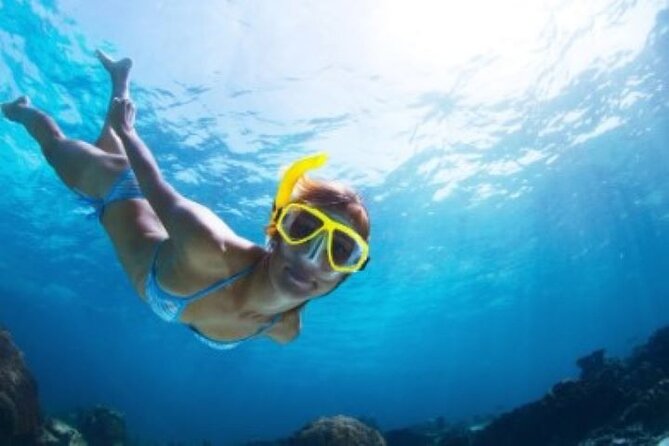 Half Day Snorkeling Tour from Margaritaville - Key points to know before booking