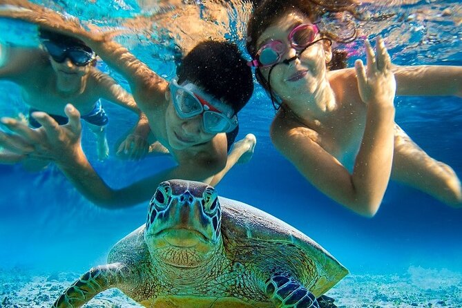 Half Day Snorkeling Tour from Margaritaville - The crew makes the difference