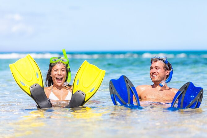 Half Day Snorkeling Tour from Margaritaville - Who should book this Margaritaville snorkeling trip?