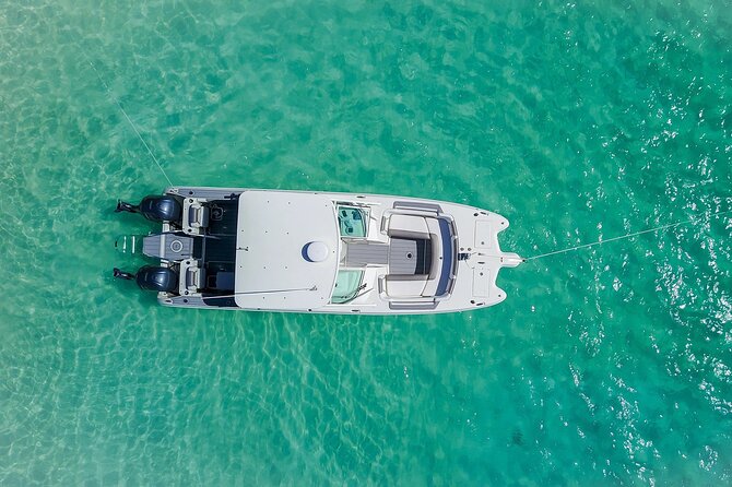Half or Full-Day Private Boat Charter from St. John or St. Thomas - Maho Bay is your best turtle bet