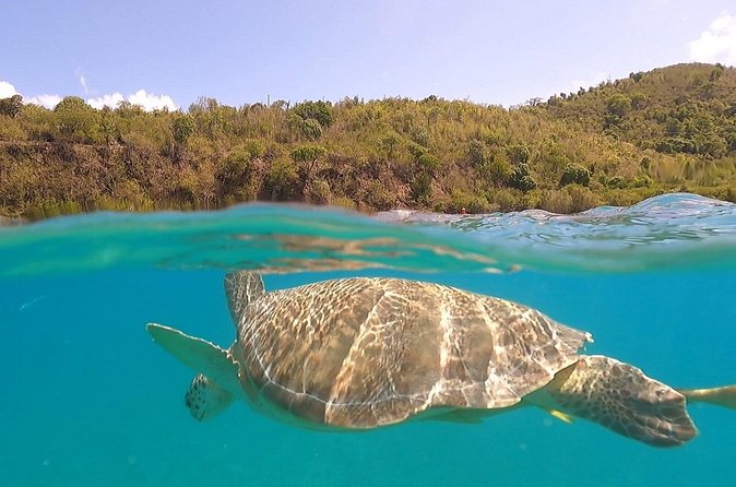 Half or Full-Day Private Boat Charter from St. John or St. Thomas - Captains make the flexible plan work