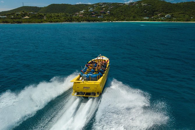 High Speed Harbor Tour from Charlotte Amalie Cruise Port - The $60 question: good value for the right kind of fun
