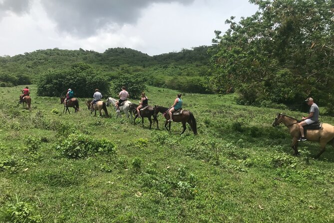 Horseback Riding Experience - Meeting the Horses and Getting Comfortable