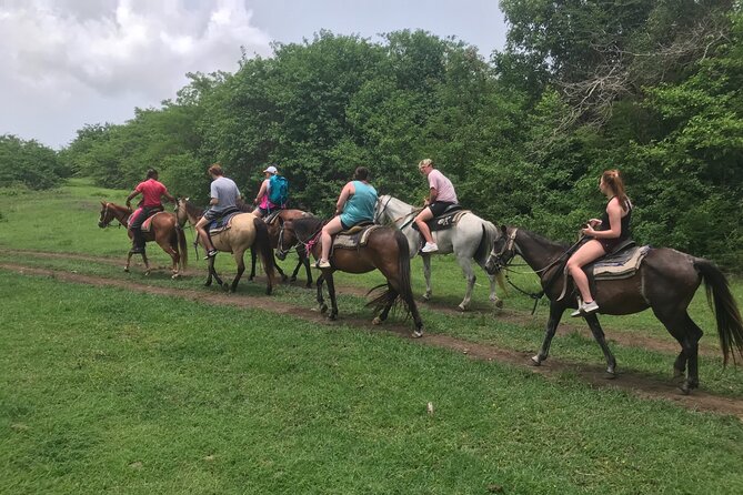 Horseback Riding Experience - Riding Through Rainforest and Pasture